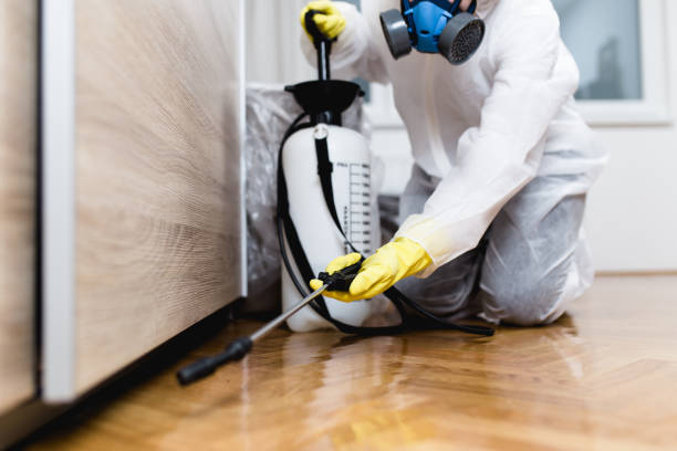 Best Affordable Pest Control Services  in Westfield Center, OH