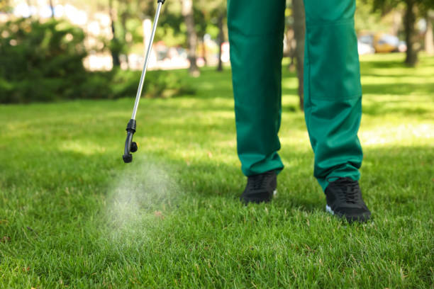 Best Termite Control Services  in Westfield Center, OH