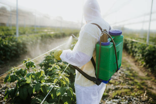 Best Best Pest Control Companies  in Westfield Center, OH